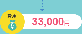 費用 31,500円